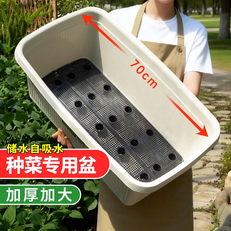 Self-Watering Planter Box for Vegetables, Fruits, and Herbs - Durable Resin Material