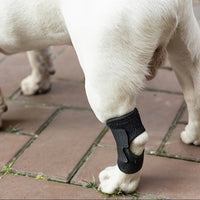 Pet Post-Surgery Recovery Leg Sleeve for Dogs - Anti-Lick Joint Support
