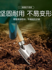 Mini Garden Hand Tool Set - Stainless Steel Trowel and Rake for Potted Plants and Gardening