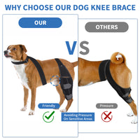 Dog Knee Brace for Injury Recovery and Joint Protection