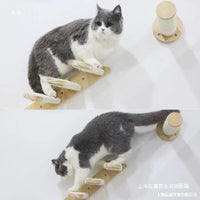 Wall-Mounted Cat Climbing Frame with Sisal Scratching Post and Space Capsule