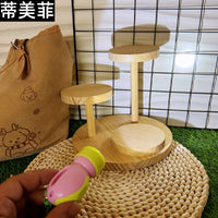 Mini LED Flashlight Keychain for Pet Play and Cat Teasing, Cute Macaron Color Pendant