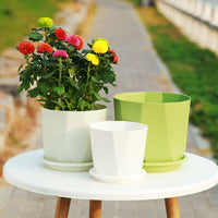 Nordic Style Resin Planter Pot for Succulents and Roses, Thickened Imitation Ceramic Design