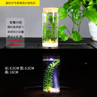 Self-Sustaining Ecosystem Betta Fish Tank Micro Landscape DIY Ornament