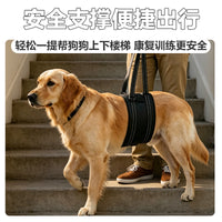 Dog Rear Leg Support Harness for Elderly and Injured Dogs, Rehabilitation Aid