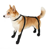 Pet Dog Knee Brace for Joint Support and Injury Recovery