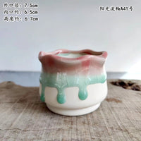 Ceramic Succulent Planter with Ice Crack Glaze - Minimalist White Base for Small Green Plants
