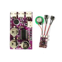 Voice Recognition Recording Module for Electronic Toys and Greeting Cards