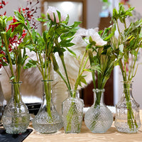 Nordic Ins Style Glass Vase for Hydroponic or Floral Arrangements, Retro Creative Home Decor