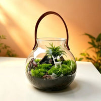 Micro Landscape Terrarium Glass Container with Leather Handle for Moss Succulents Hydroponics DIY