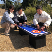 Mini Tabletop Bowling Curling Shuffleboard Game Set 3-in-1