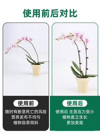Orchid Plant Support Stakes with Clips and Caps for Climbing Vines and Flowers