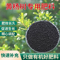 Boxwood & Flower Organic Granular Slow-Release Fertilizer, Soybean Meal Fertilizer for Boxwood Stump Bonsai