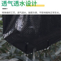 Weed Barrier Fabric for Agriculture, Perforated, Breathable, Anti-Aging Ground Cover for Orchards