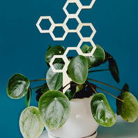 Wooden Honeycomb Plant Trellis for Indoor Garden Potted Plants