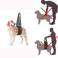 Dog Lift Harness for Senior, Injured, or Disabled Pets - Support Sling for Walking, Stairs, and Rehabilitation