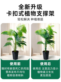 Plant Support Stakes for Potted Plants, Monstera, Orchids - Garden Fixator and Anti-Toppling Stand