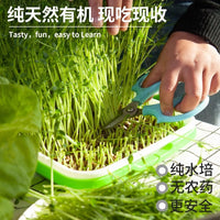 Hydroponic Seed Sprouter Tray Kit for Home Gardening, Bean Sprout Growing System