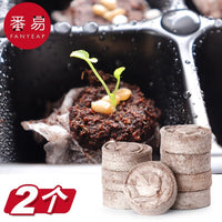 Seedling Starter Tray Kit with Peat Pellets