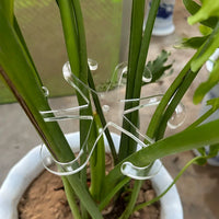 Plant Support Stake for Monstera and Potted Green Plants, Anti-Toppling Garden Fixator