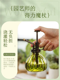 Vintage Glass Plant Mister Spray Bottle for Indoor Gardening and Succulents