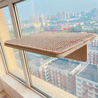Glass Suction Pet Window Shelf for Cats and Parrots