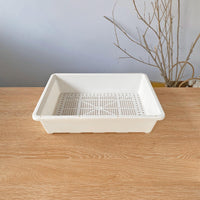 20-Cell Seedling Tray with Drainage for Succulents and Plants