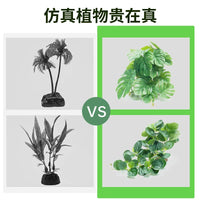 SuperRep Reptile Terrarium Artificial Plant Decor for Rainforest Tanks and Tortoise/Lizard/Gecko Habitats