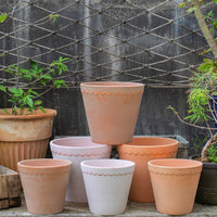 Korean Style Terracotta Planter with Wavy Rim for Outdoor Plants