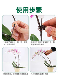 Orchid Plant Support Stakes with Clips and Caps for Climbing Vines and Flowers