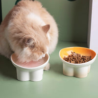 Elevated Ceramic Pet Bowl for Cats and Small Dogs, Tilted Design for Neck Protection, Anti-Vomit, Anti-Spill Food and Water Dish
