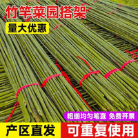 Natural Bamboo Stakes for Garden Plant Support, Climbing Vines, Fencing, and Flagpoles