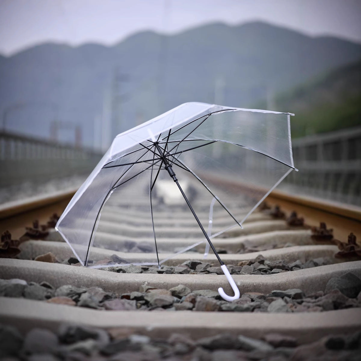 Transparent Long-Handle Automatic Umbrella for Rain and Sun Protection