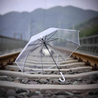 Transparent Long-Handle Automatic Umbrella for Rain and Sun Protection