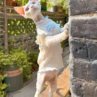 Summer Sleeveless Cat Vest for Hair Loss Prevention, Sphynx & Devon Rex Breeds