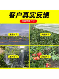 Bird Netting for Fruit Trees, Gardens, and Ponds - Durable Nylon Anti-Bird Mesh