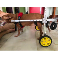 Pet Wheelchair for Dogs and Cats, Hind Leg Support for Rehabilitation and Mobility Assistance