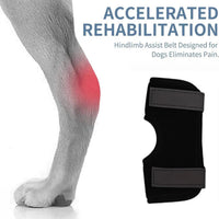 Dog Leg Brace for Injury Recovery and Joint Support, Anti-Lick Sleeve for Post-Surgery Protection
