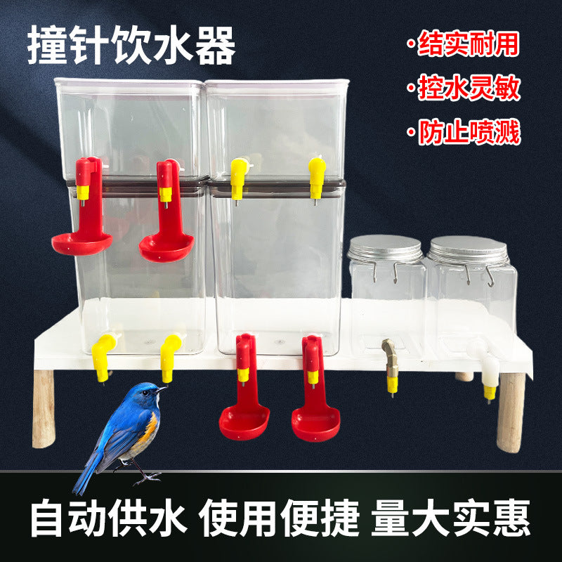 Automatic Poultry Nipple Drinker for Chickens, Parrots, and Quail, Large Capacity Water Feeder