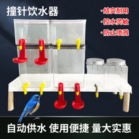 Automatic Poultry Nipple Drinker for Chickens, Parrots, and Quail, Large Capacity Water Feeder