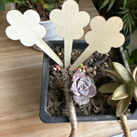 Wooden Plant Markers for Garden & Potted Plants - Indoor/Outdoor Floral & Succulent Labels