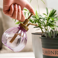 Pumpkin-Shaped Plastic Plant Mister Spray Bottle for Indoor/Outdoor Plants