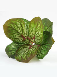 Artificial Potted Green Plant for Home Decor