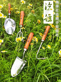 Stainless Steel Gardening Hand Tools for Planting, Weeding, and Potting