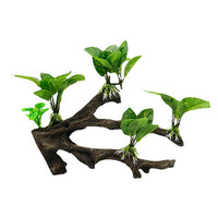 Artificial Driftwood Anubias Aquarium Decor