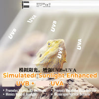 Reptile UVB T5/T8 Fluorescent Lamp for Lizards, Snakes, and Tortoises