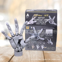 Highly Articulated 1/2 Scale Finger Joint Model for Artists and Collectors