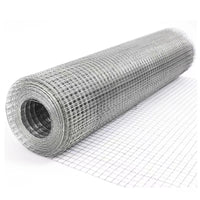 Galvanized Welded Wire Mesh for Construction, Plastering, and Fencing