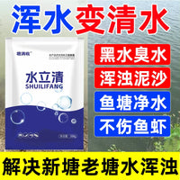 Pond Water Clarifier for Fish Ponds and Aquaculture, Rapid Purification Agent