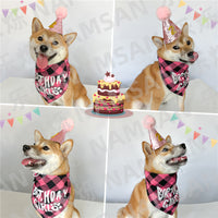 Pet Birthday Party Decoration Set with Hat, Bandana, and Numbers for Cats and Dogs